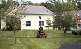 Residential and Commercial Lawn Care